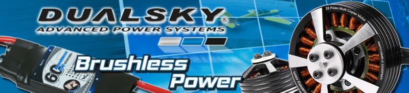 Dualsky Brushless Power